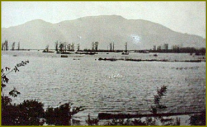 Sumas Lake from Majuba Hill approx 1915